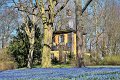 Fruehling2012   039